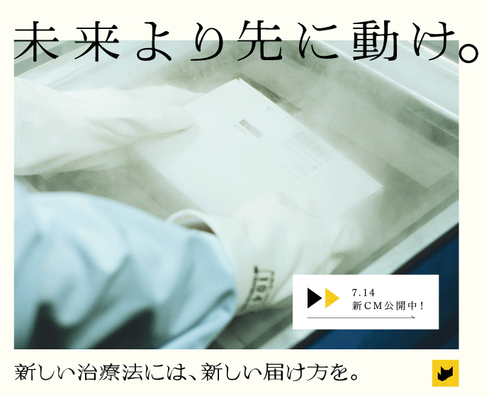 ヤマトホールディングス株式会社 ヤマトホールディングス株式会社