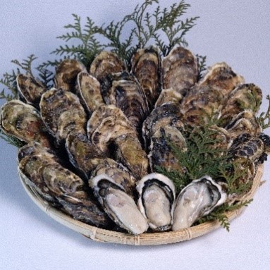 newsrelease_20230221_1_3