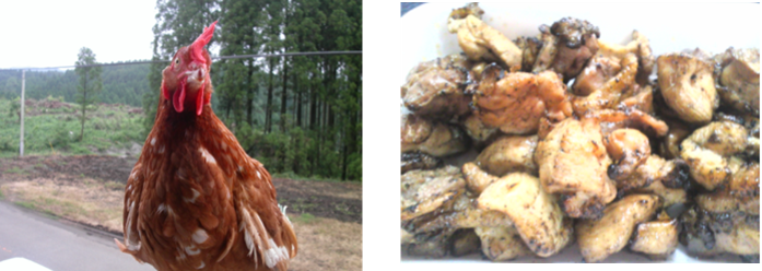 newsrelease_20230221_1_6