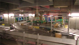 ���w�R���h�[