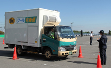 2�g���l�o�o���^�]���Z�̖͗l